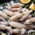 Calamari Piccoli Freschi (Tubi di Calamaro)